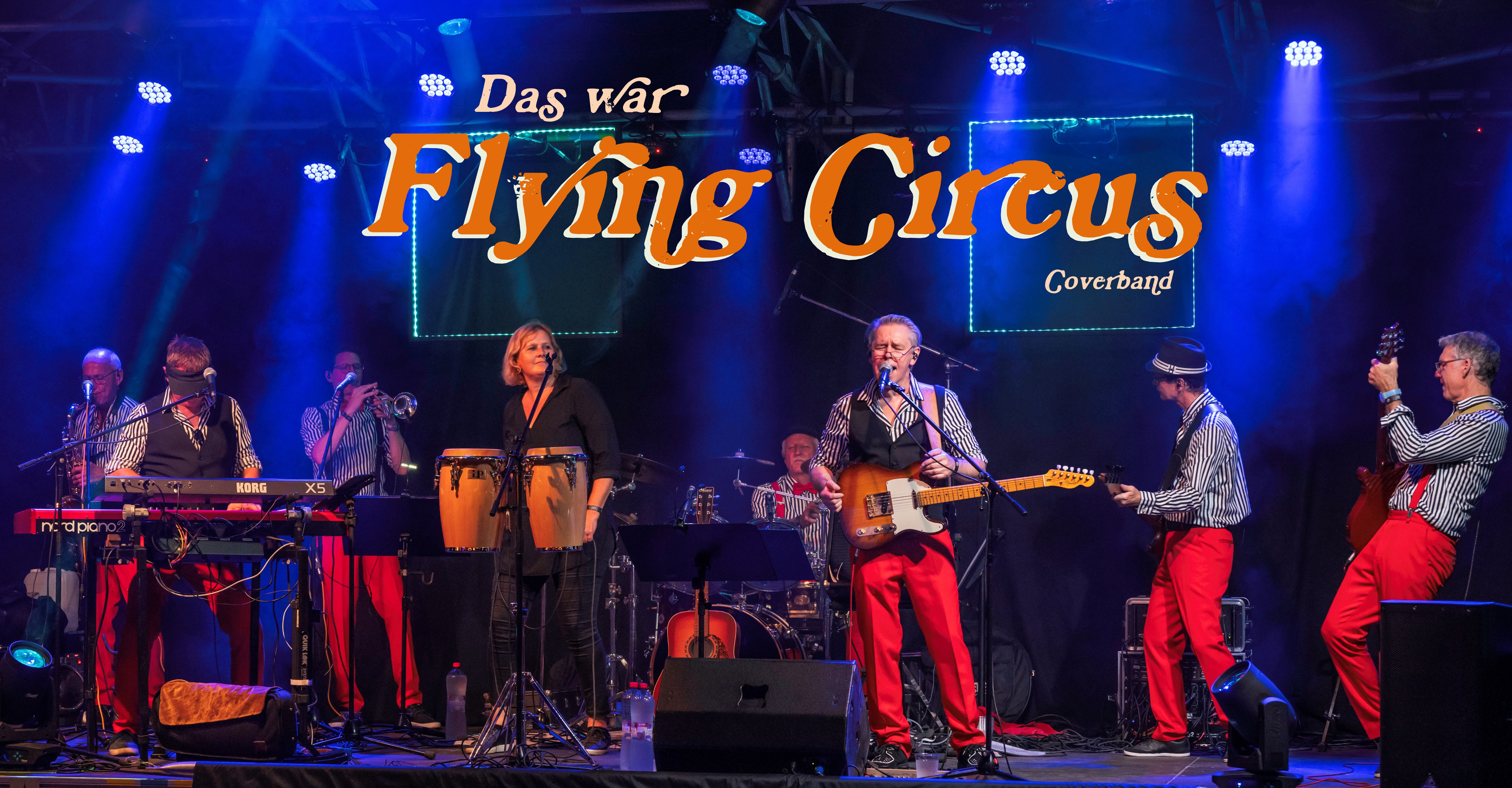 A collage of the Flying Circus cover band performing live